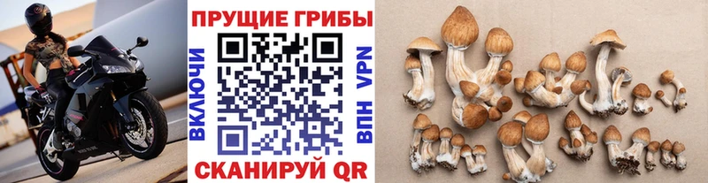 Псилоцибиновые грибы мухоморы  Лебедянь 